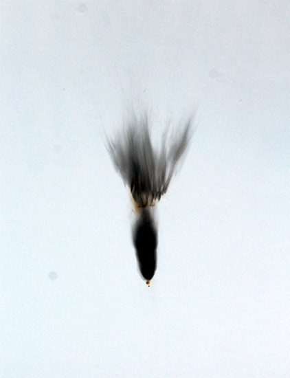 Oeuvre de Nissrine Seffar